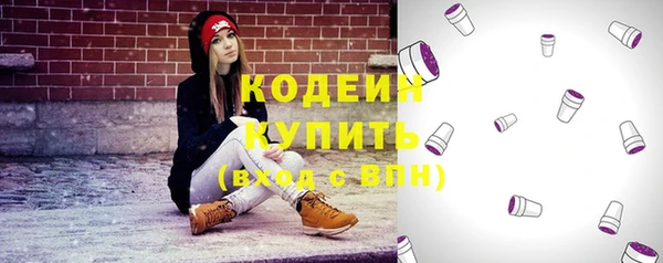 тгк Абаза