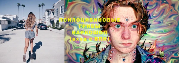 тгк Абаза
